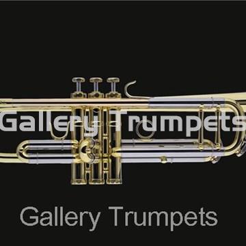 Schagerl TR-610L Trompeta Bb Lacada - Imagen 1