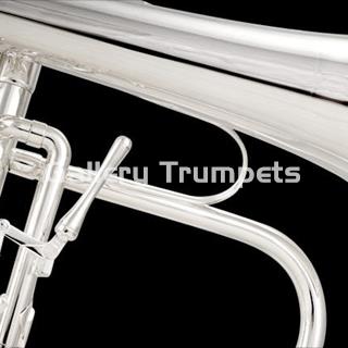 Schilke Fliscorno Plateado - Imagen 1