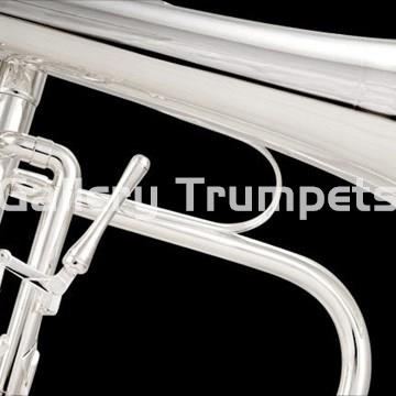 Schilke Fliscorno Plateado - Imagen 1