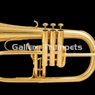 Schilke Fliscorno Plateado - Imagen 2