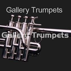 Schilke P 5-4 MA Piccolo Plateado - Imagen 1