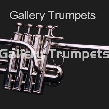 Schilke P 5-4 MA Piccolo Plateado - Imagen 1