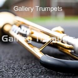 Shieldz Kit Protecciones Trompeta - Imagen 1