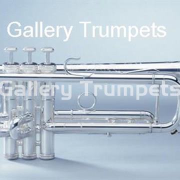 Shires Modelo AF Trompeta Bb Plateada - Imagen 1