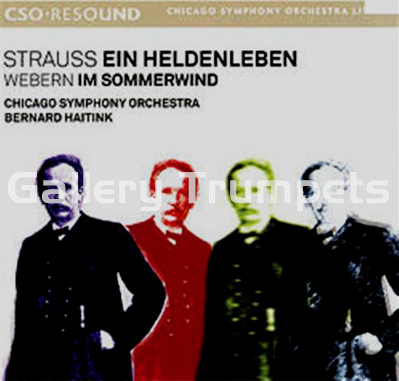 STRAUSS EIN HELDENLEBEN (Una Vida de Héroe) - CD Chicago Symphony Orchestra - Imagen 1