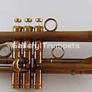 Taylor Chicago 46II Custom - Imagen 1