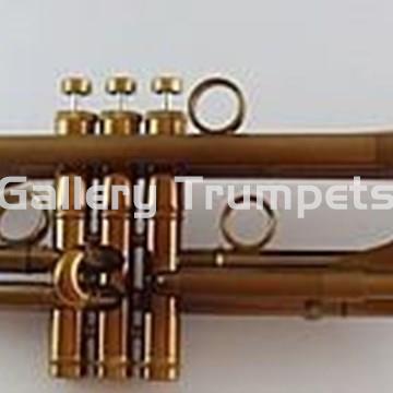 Taylor Chicago 46II Custom - Imagen 1