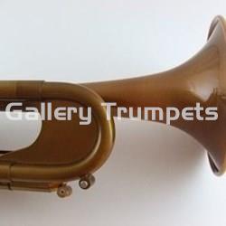 Taylor Chicago 46II Custom - Imagen 2