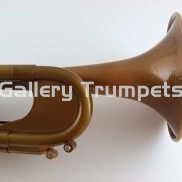 Taylor Chicago 46II Custom - Imagen 2