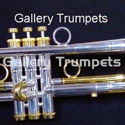 Taylor Chicago Lite Plateada combinación Oro 24Kt. - Imagen 1