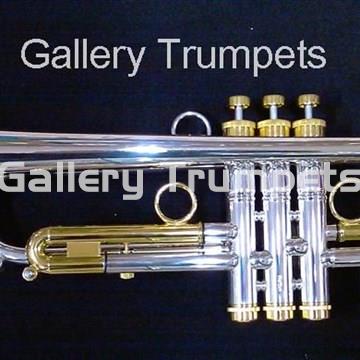 Taylor Chicago Lite Plateada combinación Oro 24Kt. - Imagen 2