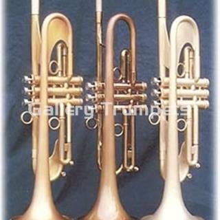 Taylor Chicago Standard Combinación Laca Satinada - Imagen 1