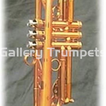 Taylor Chicago Standard Combinación Laca Satinada - Imagen 2