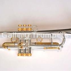 Taylor Chicago VR - Imagen 1