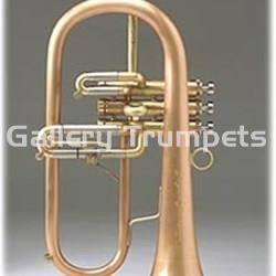 Taylor Fliscorno Standard Lacado - Imagen 1