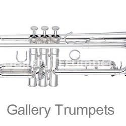 Yamaha YTR-8310ZS Trompeta Custom Bobby Shew - Imagen 1