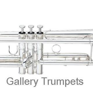 Yamaha YTR-8335LAS Trompeta Custom Bb Wayne Bergerone - Imagen 1