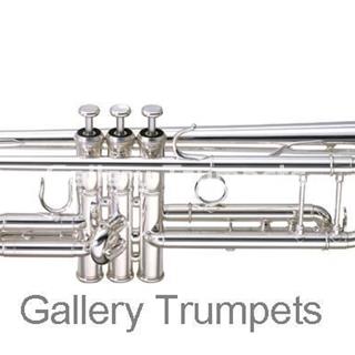 Yamaha YTR-8335SEU Trompeta Custom Xeno - Imagen 1