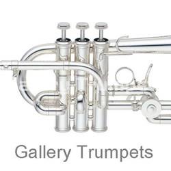 Yamaha YTR-9825 Piccolo CUSTOM-XENO (ARTIST SERIES) Plateado - Imagen 1