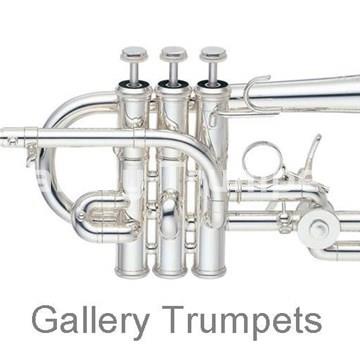 Yamaha YTR-9825 Piccolo CUSTOM-XENO (ARTIST SERIES) Plateado - Imagen 1